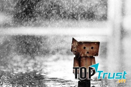 Đứng dậy hay ngã xuống đều là quyết định của bạn