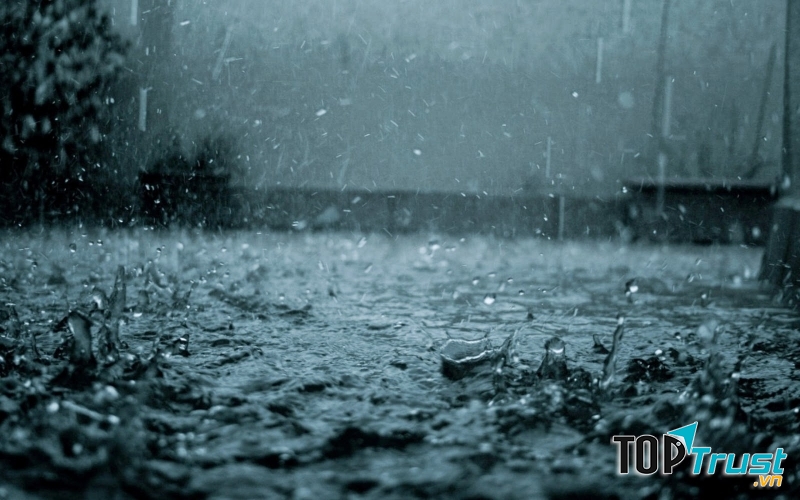 Sau cơn mưa trời lại sáng