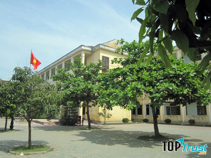 Hình ảnh cây bàng ở sân trường đã để lại rất nhiều ấn tượng trong em ngay từ khi em lần đầu đến trường