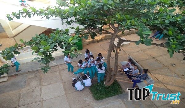 Cây bàng ở sân trường tôi cũng vậy, dưới nắng xuân, nó đang sung sướng ngắm những giọt sương sớm còn đang đọng trên lá