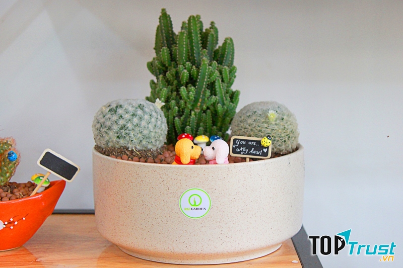 Ảnh minh họa (Nguồn Internet)