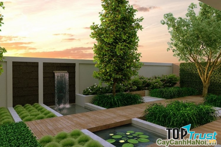 Cây cảnh Hà Nội cam kết thi công đảm bảo chất lượng