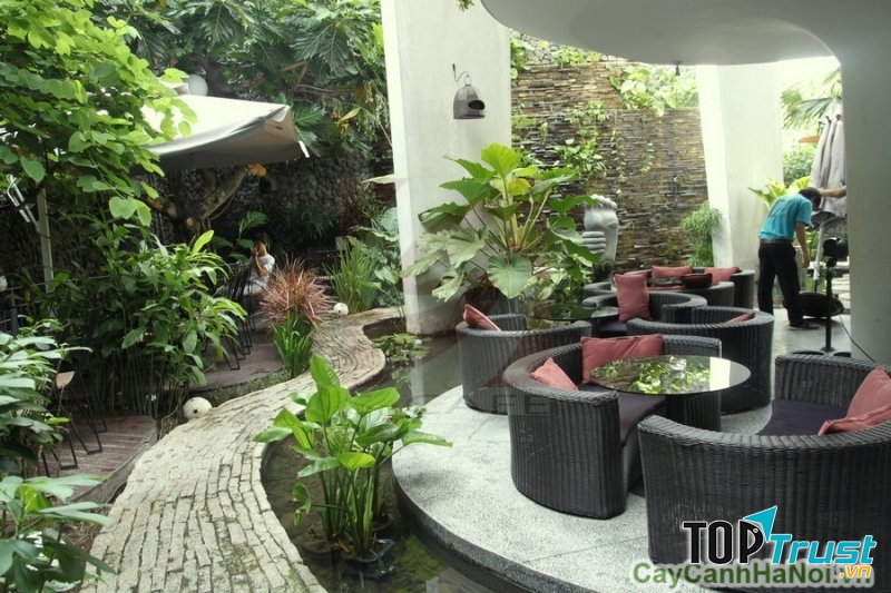 Thiết kế và thi công sân vườn quán Cafe