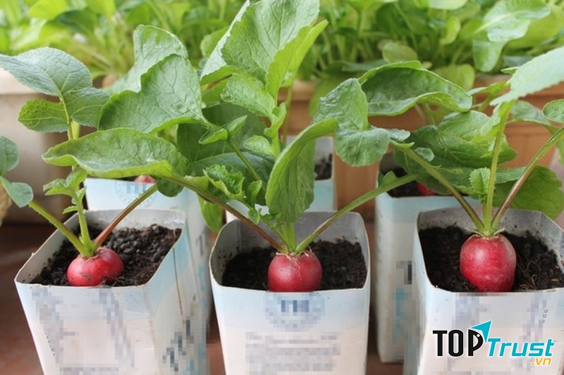 Ý nghĩa rước của cải và tài lộc vào nhà.