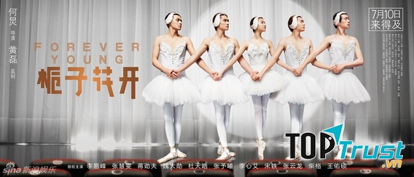 Cây Dành Dành Nở Hoa