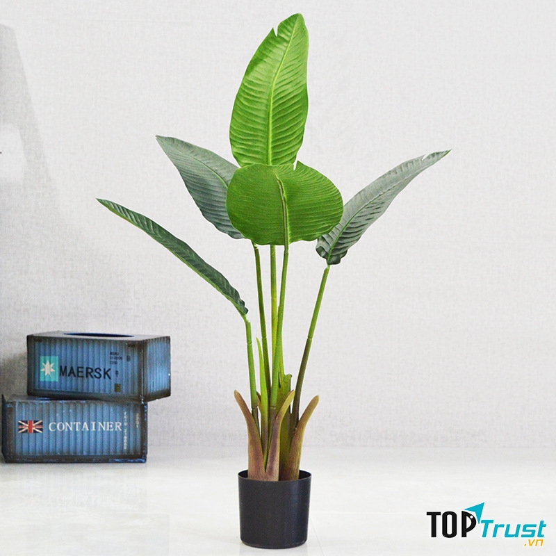 Cây giả trang trí nhà