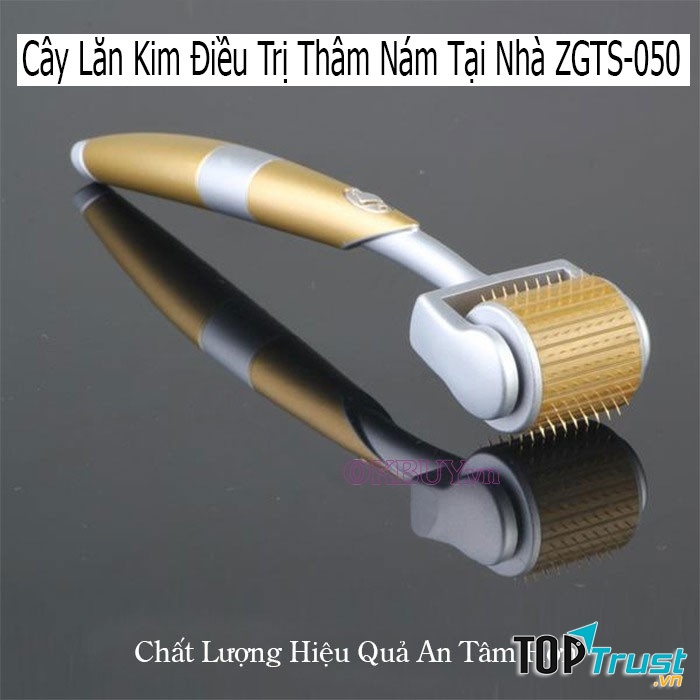 Cây lăn kim điều trị thâm nám tại nhà ZGTS-050