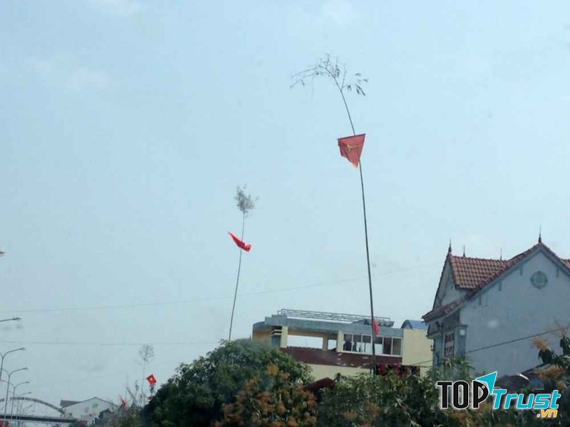 Cây nêu ngày tết