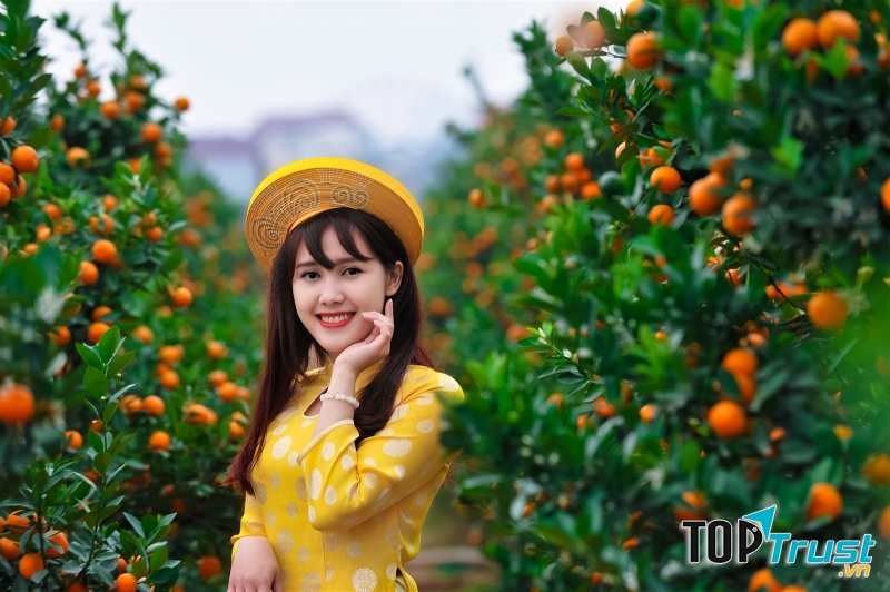 Chú trọng chọn dáng quất uyển chuyển, cứng cáp và quả căng tròn, vàng đều