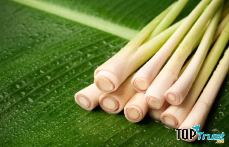 Sả chứa nhiều tinh dầu, tốt cho sức khoẻ