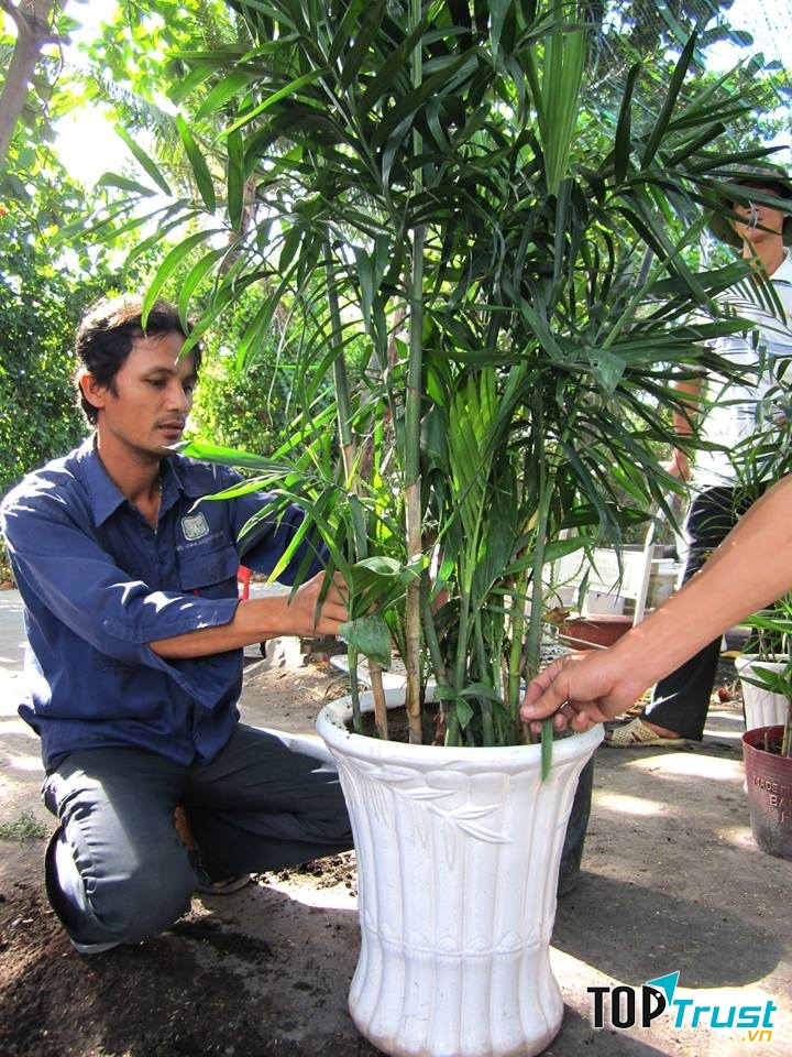 Thông điệp vượt qua mọi thử thách và sóng gió trong cuộc đời.