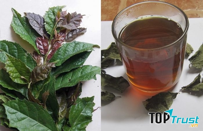 Ảnh minh họa - nguồn internet