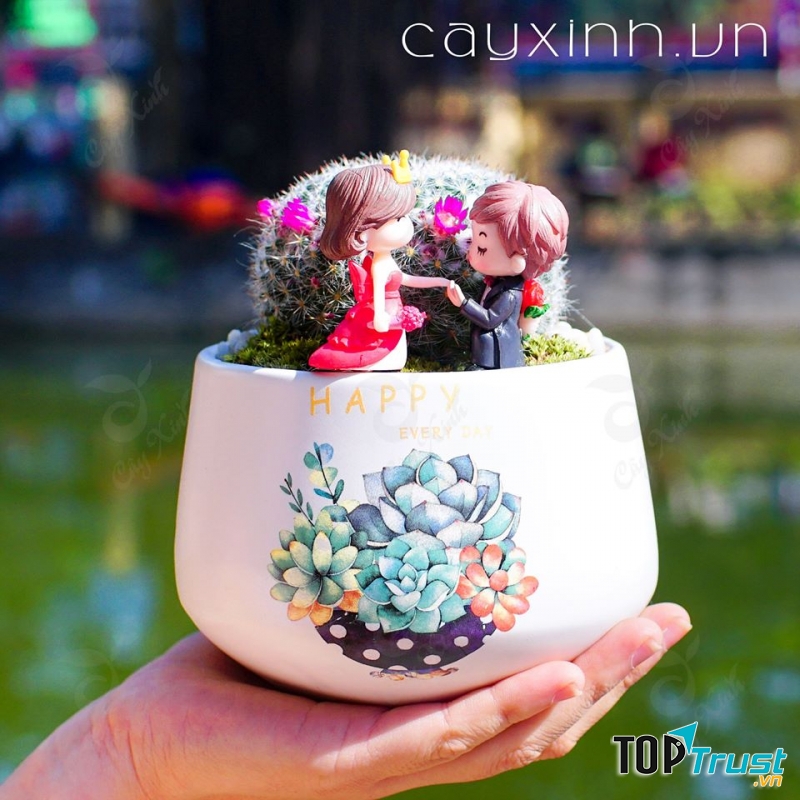 Cây Xinh Thanh Hóa