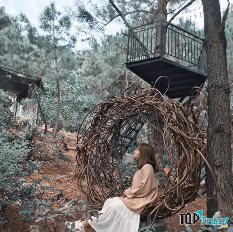 Một lựa chọn mới, hoàn toàn xứng đáng cho mùa đông này