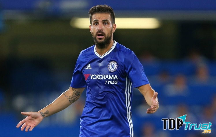 Fabregas được đánh giá là một trong những tiền vệ đẳng cấp nhất thế giới