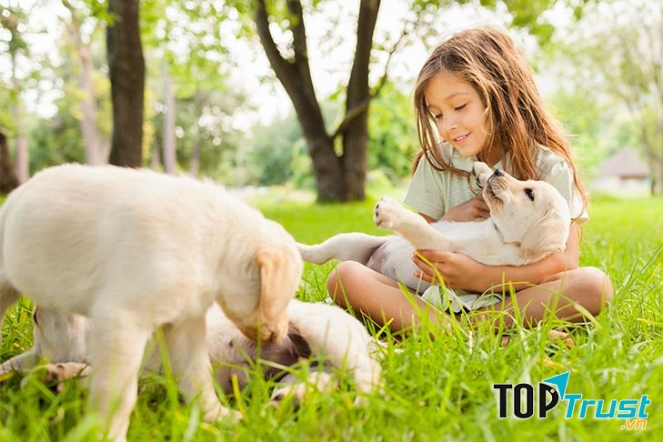 Chăm sóc thú cưng