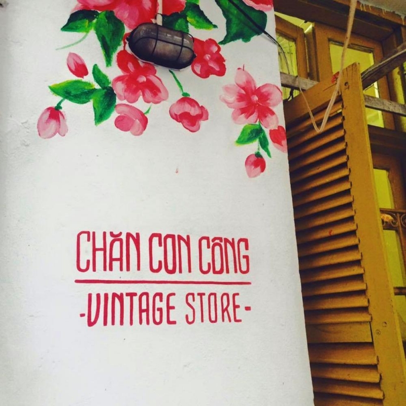 Chăn Con Công