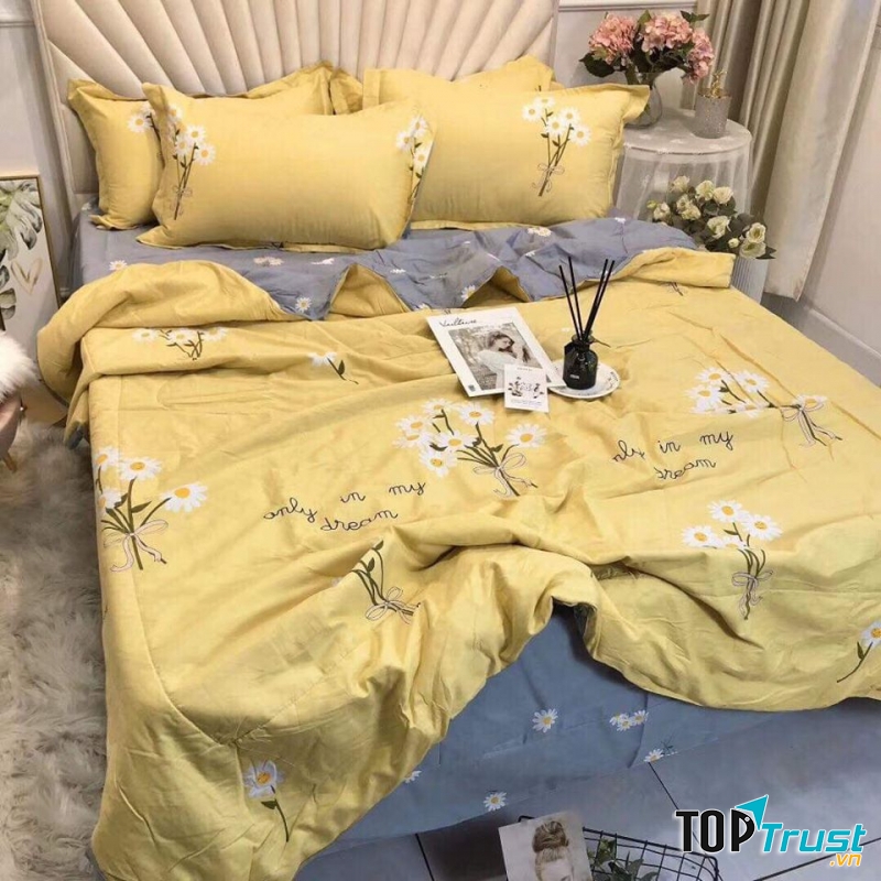Chăn Ga Gối Nệm Thảo Hân
