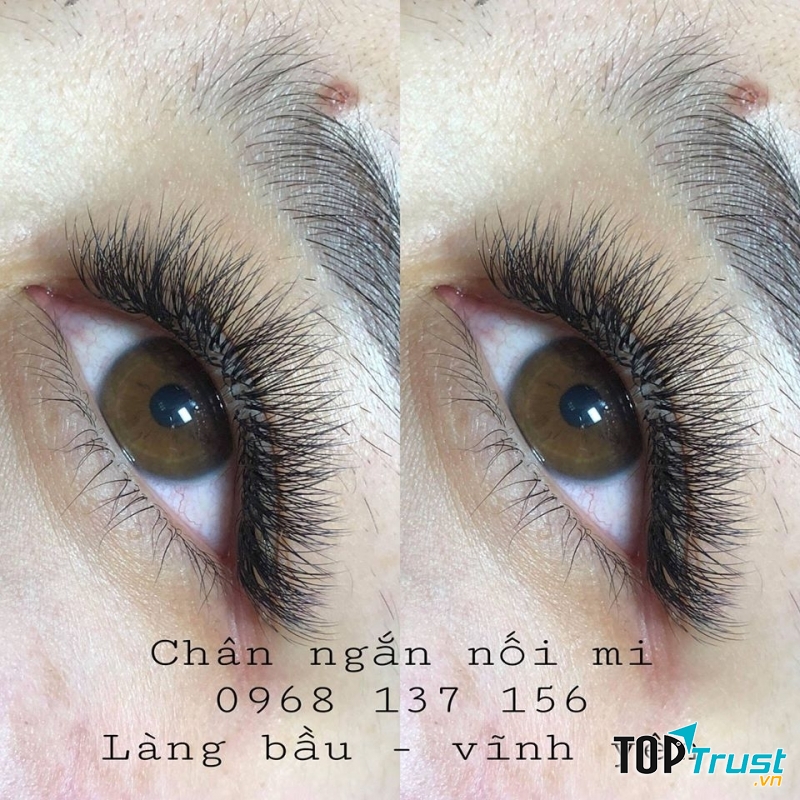 Chân Ngắn Nối Mi (Trịnh Thị Bình Minh)