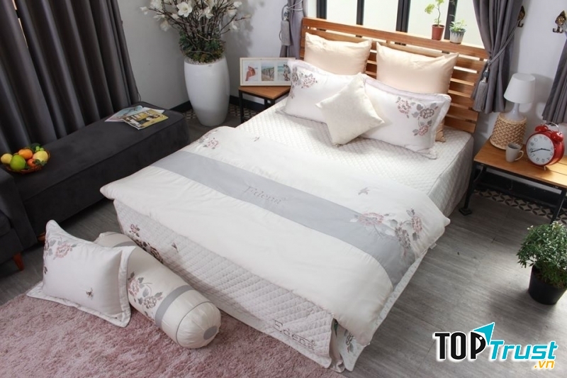 Chăn ga gối đệm Edena
