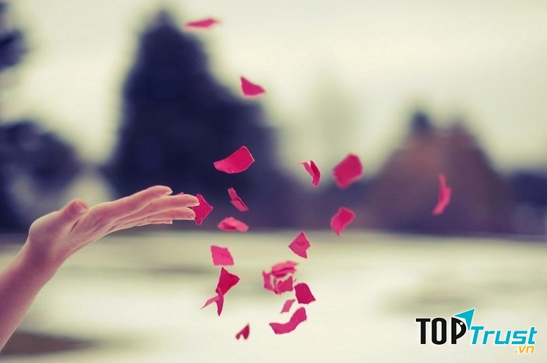 Ảnh minh họa - nguồn internet