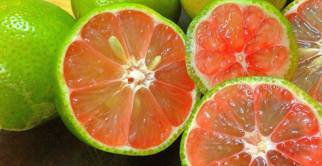 Ảnh minh họa - nguồn internet