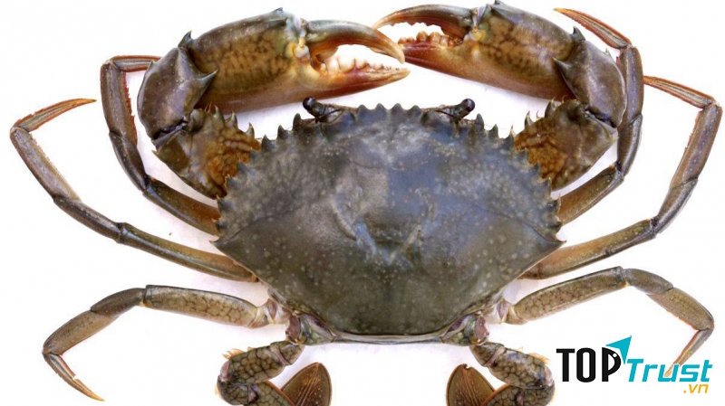 Ảnh minh họa - nguồn internet