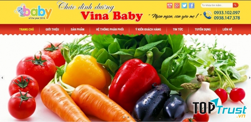 Website của cháo dinh dưỡng Vina Baby