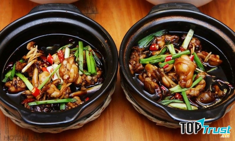 Thố ếch hấp dẫn