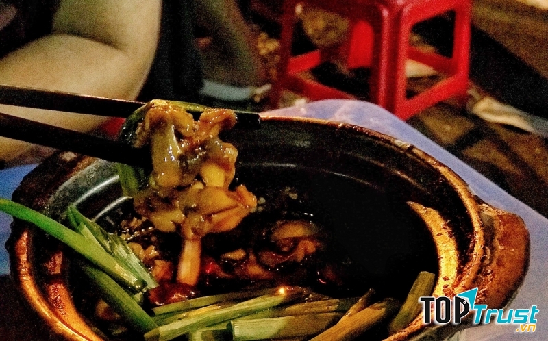 Sức hút khó cưỡng