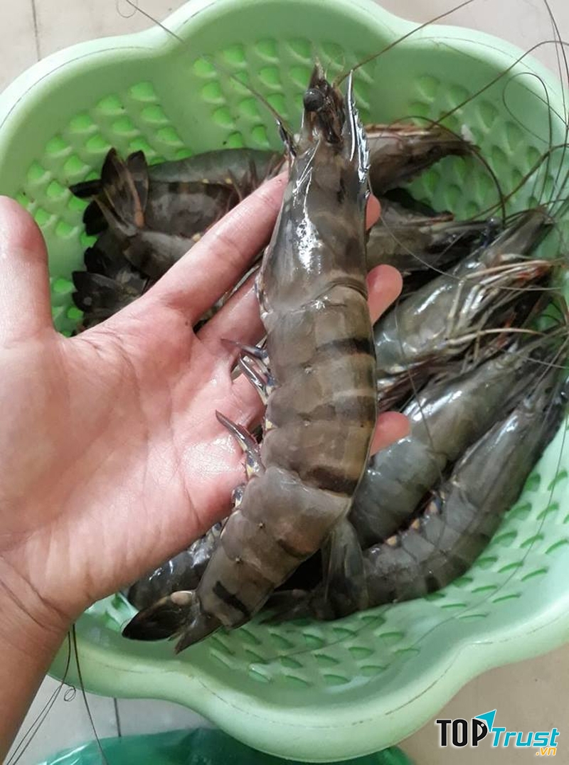 Ảnh minh họa - nguồn internet