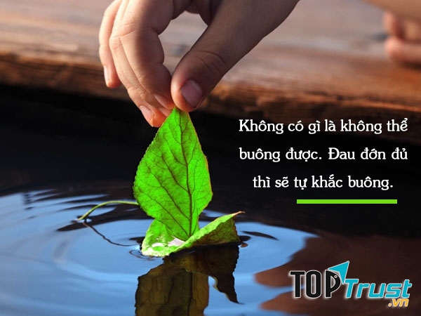 Học cách chấp nhận sự việc