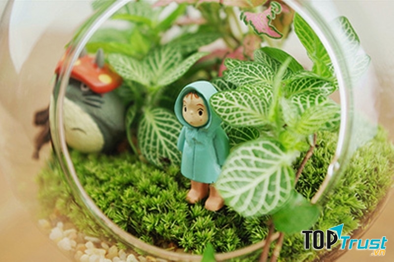 Chậu cây cảnh xinh xinh để bàn này khiến ai nhận được cũng òa lên thích thú