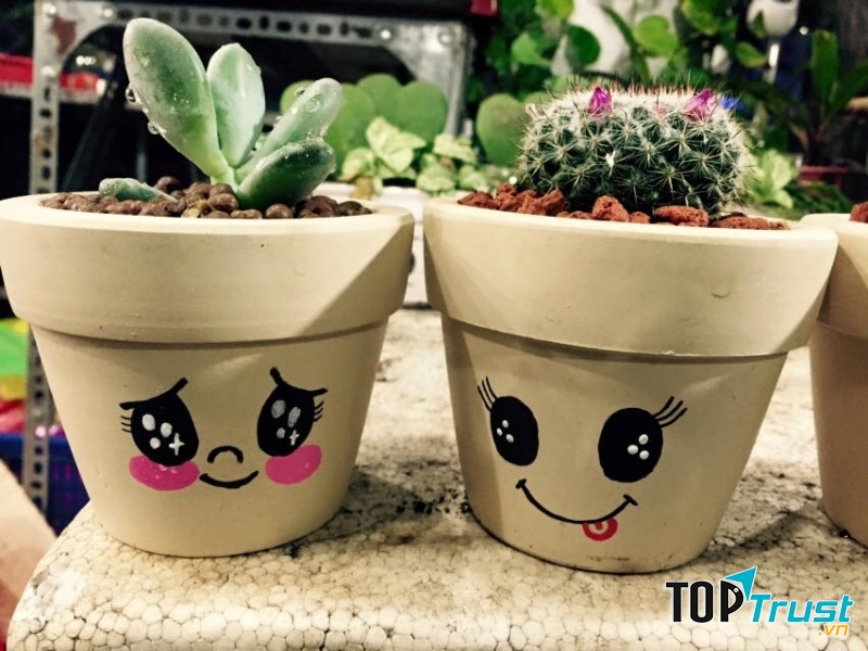 Chậu cây dễ thương