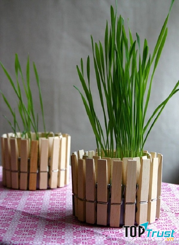 Và đây là thành phẩm