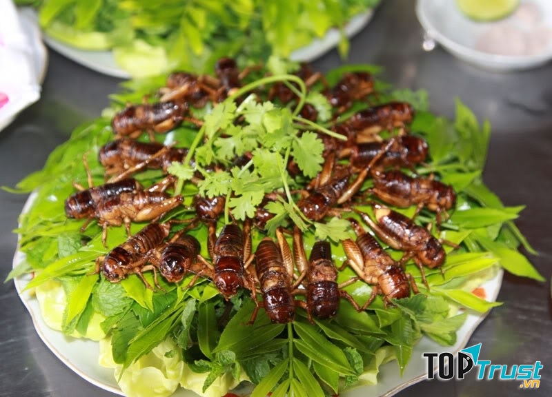 Món Dế mèn