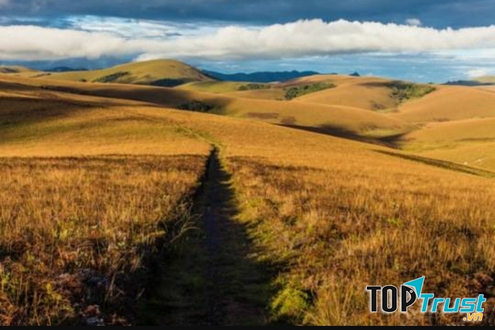 Châu Phi được coi là một cao nguyên rộng lớn