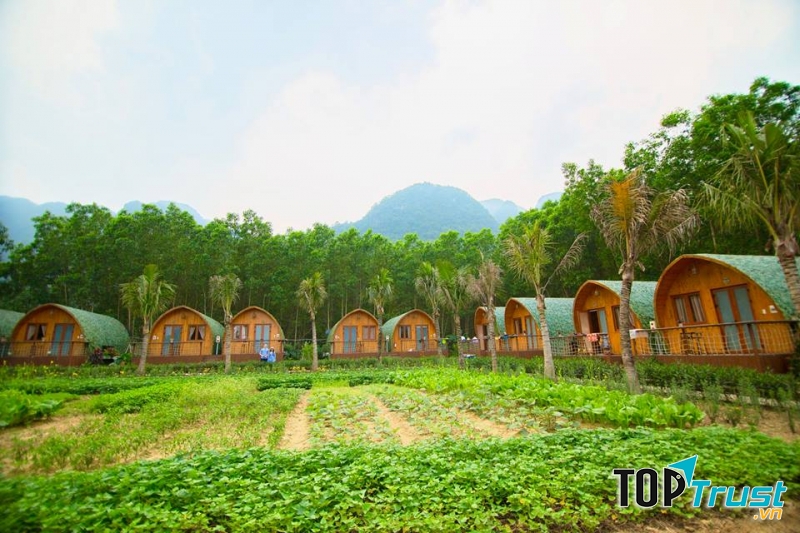 Xung quanh khuôn viên đó được bao phủ bởi màu xanh của núi rừng hoang sơ, hùng vĩ cùng với những nhánh sông xanh mát như những dải lụa uốn lượn nhẹ nhàng.