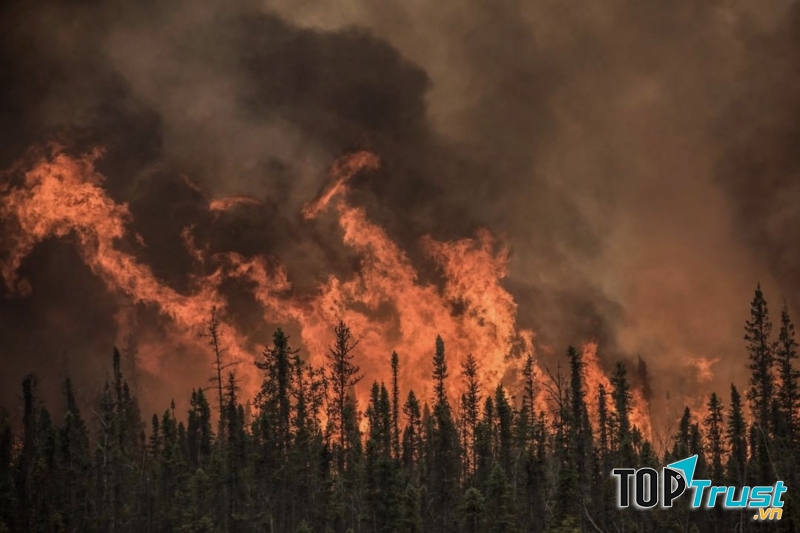Một đám cháy rừng tại Mỹ