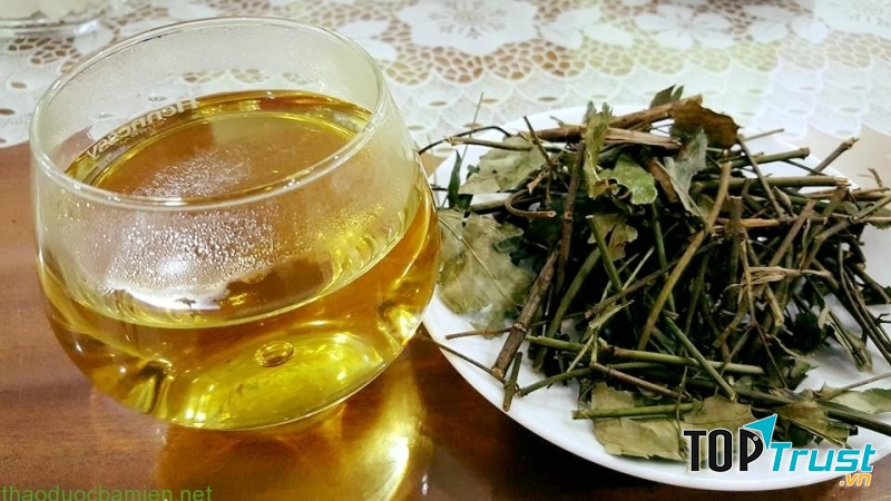 Sản phẩm chè vằng khô của thảo dược ba miền