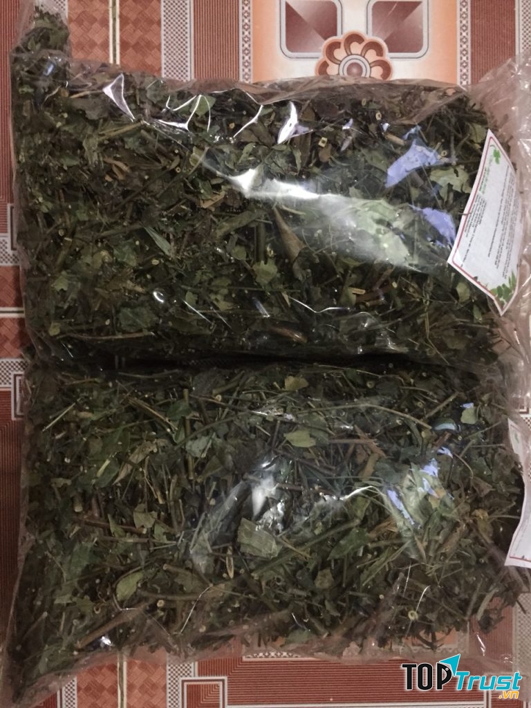 Chè vằng của Thảo dược ba miền