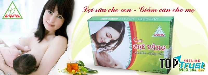 Cao chè vằng Lava