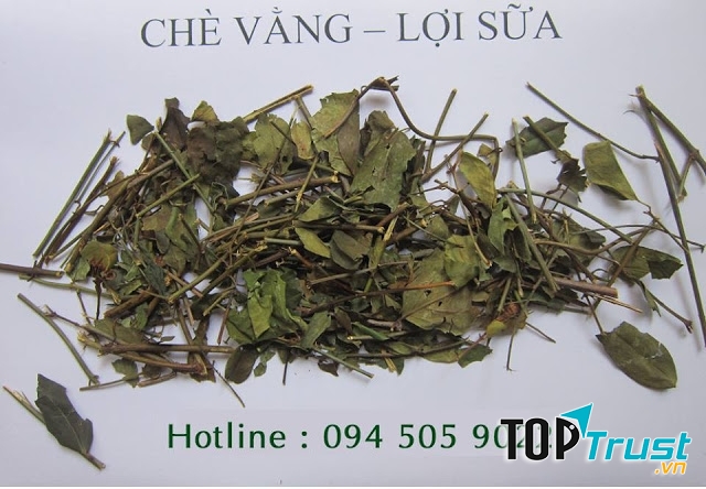 Sản phẩm chè vằng Khô của Minh Hương