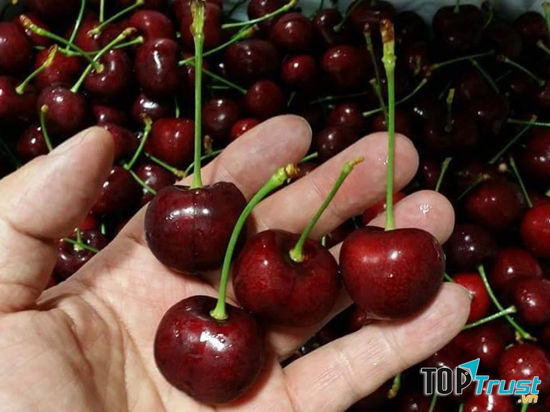 Cherry cung cấp nhiều vitamin, khoáng chất làm tăng khả năng đề kháng
