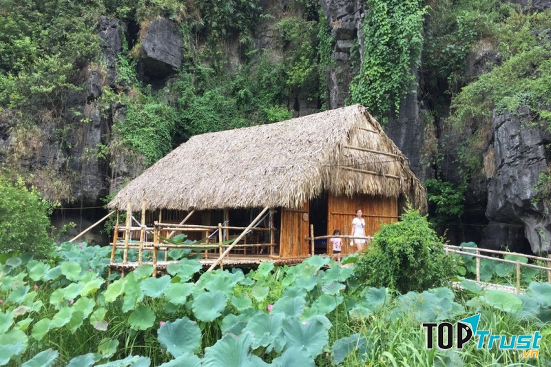 Homestay giữa đầm sen