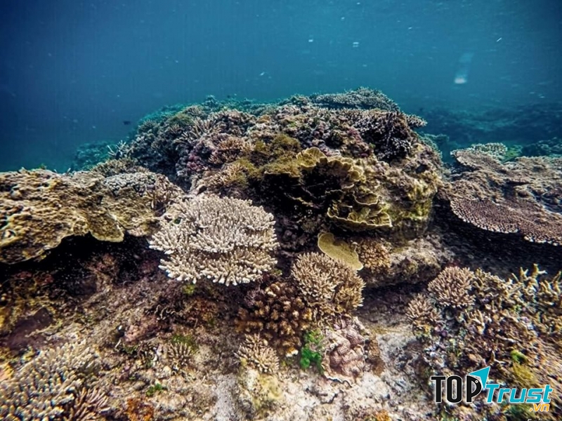 Đây là một trong những nhóm du lịch được đông đảo các bạn trẻ tham gia, nhất là những bạn có niềm đam mê với phượt. ﻿