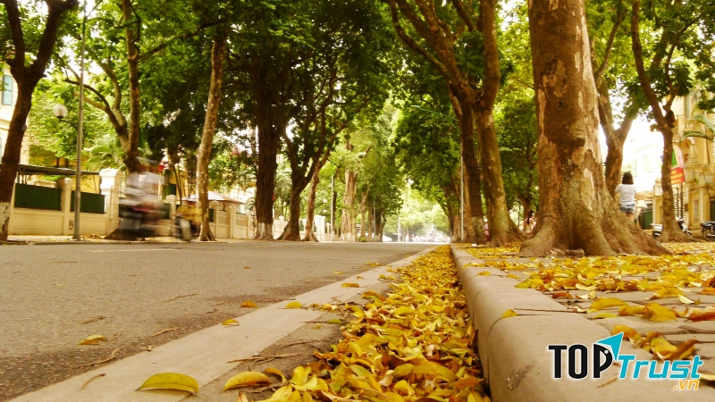 Chiều Hà Nội - Ca sỹ Trọng Tấn