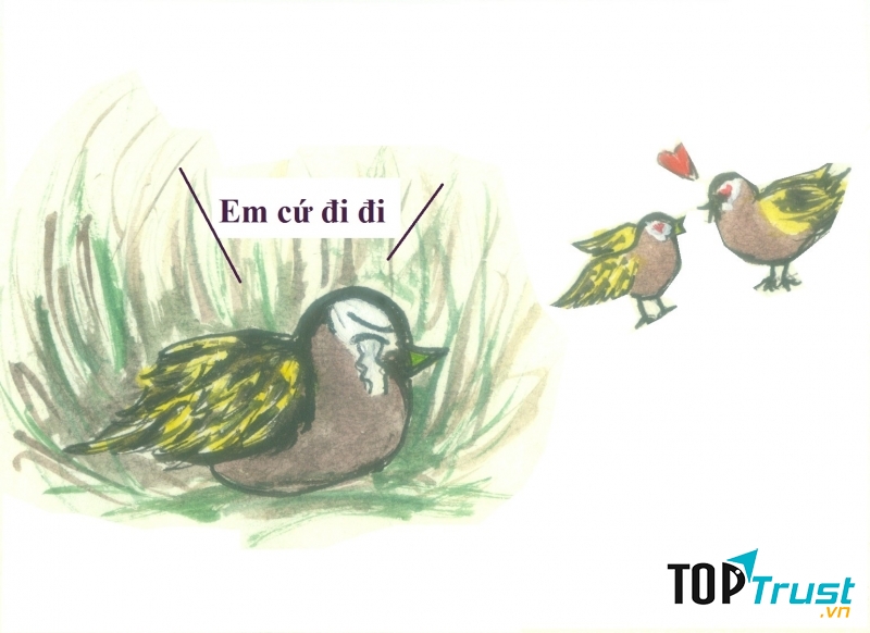 Chim rẽ nước trống ấp trứng