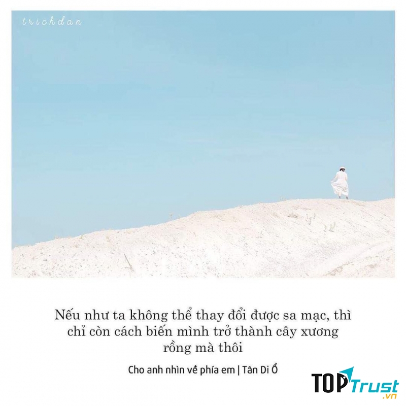 Cho anh nhìn về phía em - Tân Di Ổ