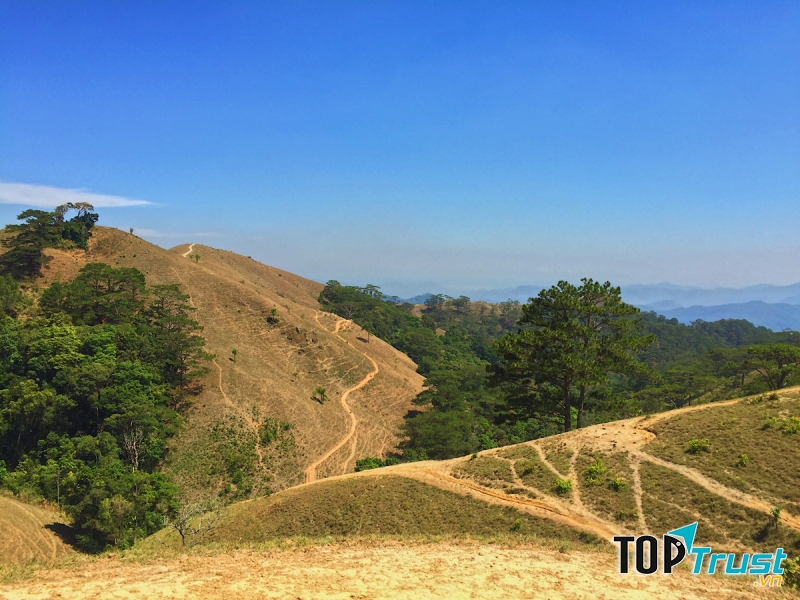 Trải nghiệm sẽ giúp bé yêu thiên nhiên hơn.